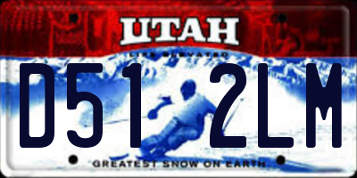 UT license plate D512LM