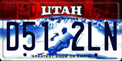 UT license plate D512LN