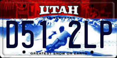 UT license plate D512LP