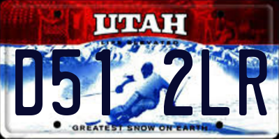 UT license plate D512LR