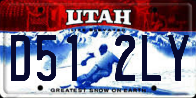 UT license plate D512LY