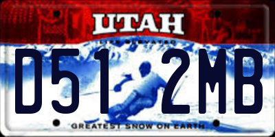 UT license plate D512MB