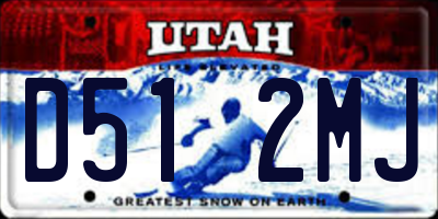 UT license plate D512MJ