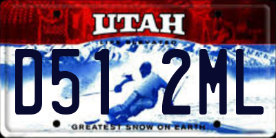 UT license plate D512ML
