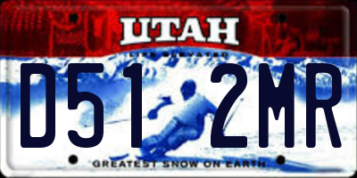 UT license plate D512MR