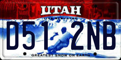 UT license plate D512NB