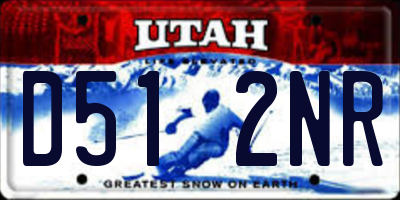 UT license plate D512NR
