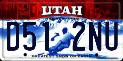 UT license plate D512NU