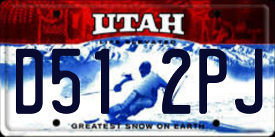 UT license plate D512PJ