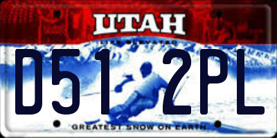 UT license plate D512PL