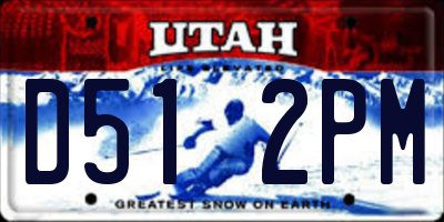UT license plate D512PM