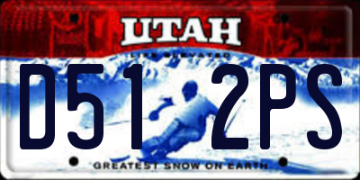 UT license plate D512PS