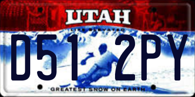 UT license plate D512PY