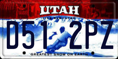 UT license plate D512PZ