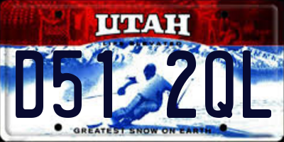 UT license plate D512QL
