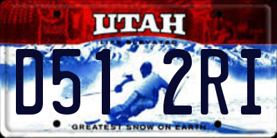 UT license plate D512RI