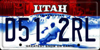 UT license plate D512RL