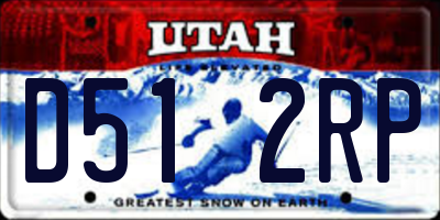 UT license plate D512RP