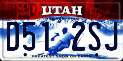 UT license plate D512SJ