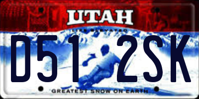UT license plate D512SK