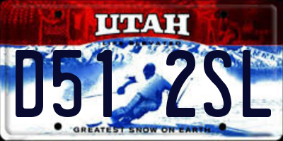 UT license plate D512SL
