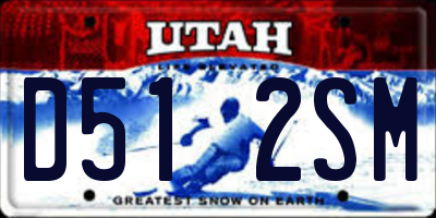UT license plate D512SM