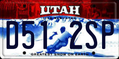 UT license plate D512SP