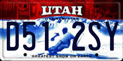 UT license plate D512SY