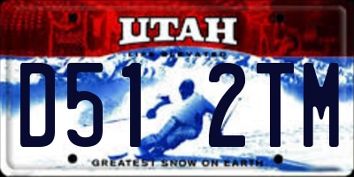UT license plate D512TM