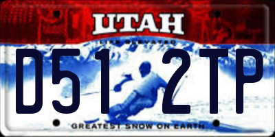 UT license plate D512TP
