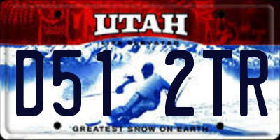 UT license plate D512TR