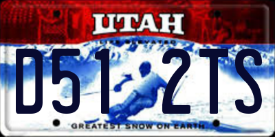 UT license plate D512TS