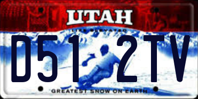 UT license plate D512TV