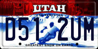 UT license plate D512UM