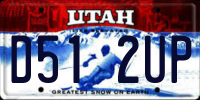 UT license plate D512UP