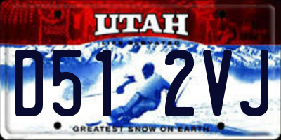 UT license plate D512VJ