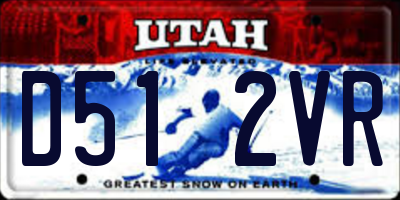 UT license plate D512VR