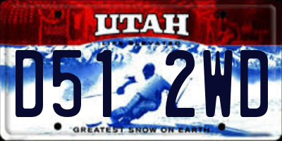 UT license plate D512WD