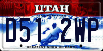 UT license plate D512WP