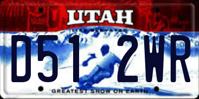 UT license plate D512WR