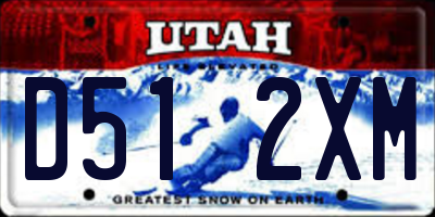 UT license plate D512XM