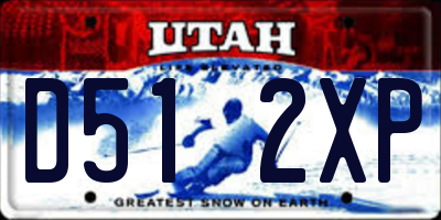 UT license plate D512XP
