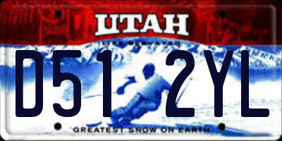 UT license plate D512YL