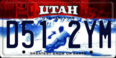 UT license plate D512YM