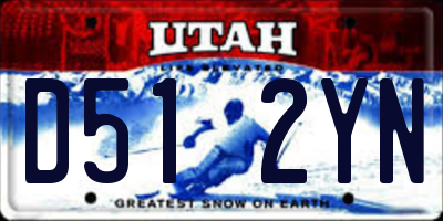UT license plate D512YN