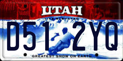 UT license plate D512YQ