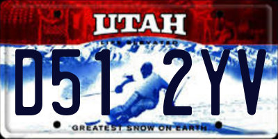 UT license plate D512YV