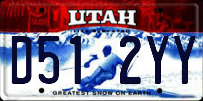 UT license plate D512YY