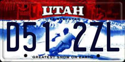 UT license plate D512ZL