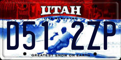 UT license plate D512ZP